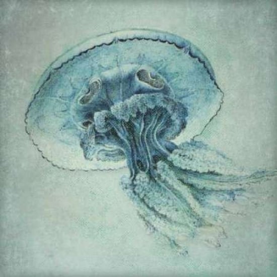 Blue Jelly Poster Print by Stephanie Marrott Image 1