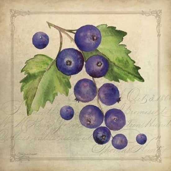 Blueberry Collage Poster Print by Stephanie Marrott Image 1