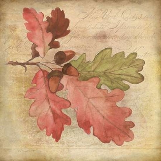 Oak Leaf 1 Poster Print by Stephanie Marrott Image 2