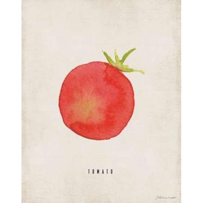 Tomato Poster Print by Stephanie Marrott Image 2