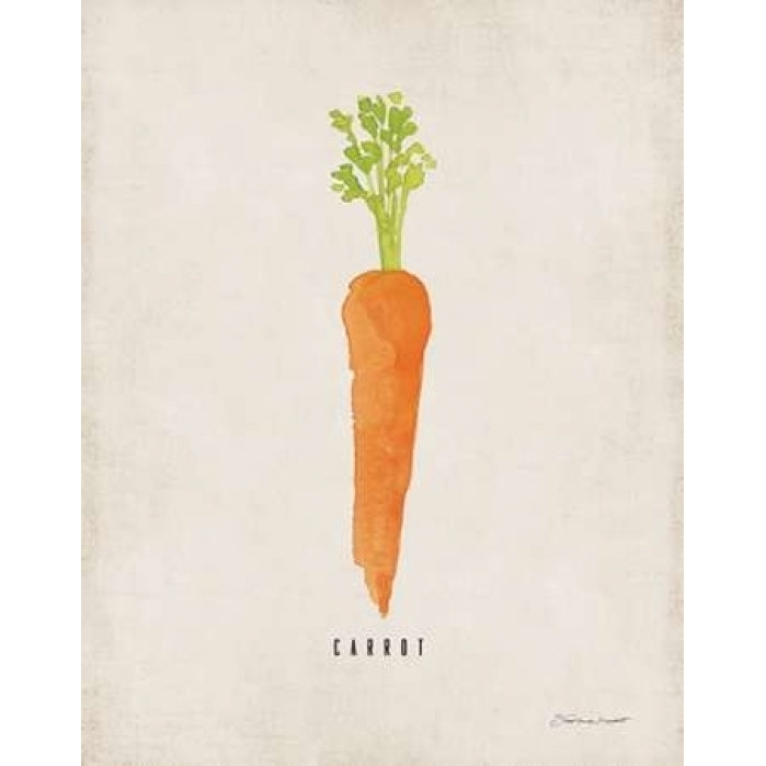 Carrot Poster Print by Stephanie Marrott Image 1