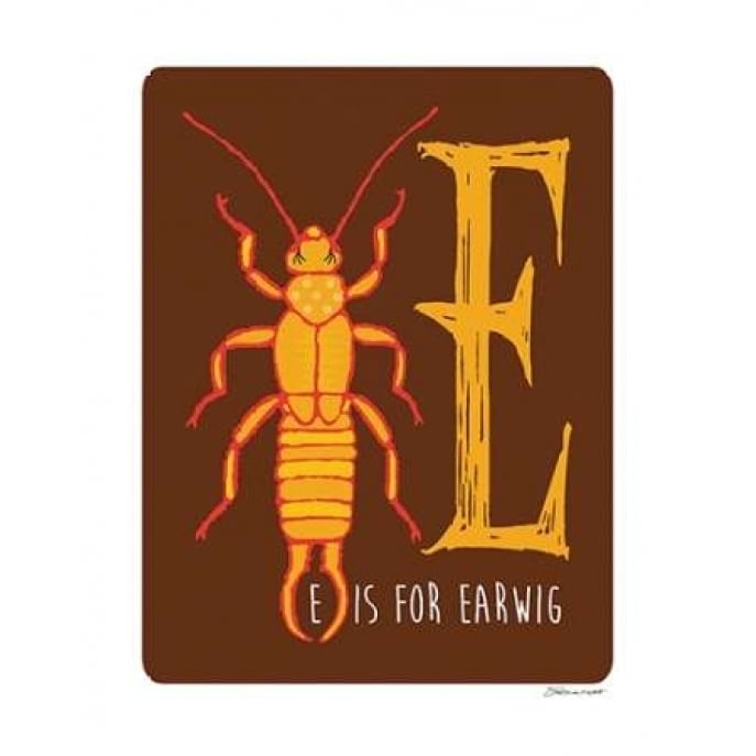 E is For Earwig Poster Print by Stephanie Marrott Image 2