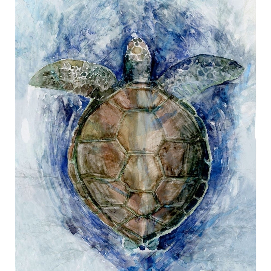 Swimming Sea Turtle_ Poster Print by Stellar Design Studio Stellar Design Studio TV033A Image 1