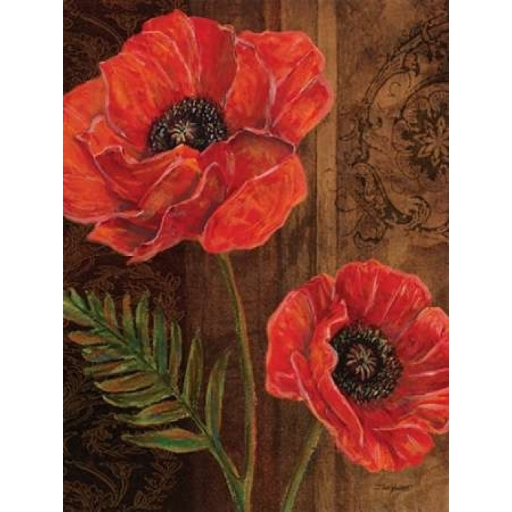 Poppy Portrait II Poster Print by Todd Williams Image 1