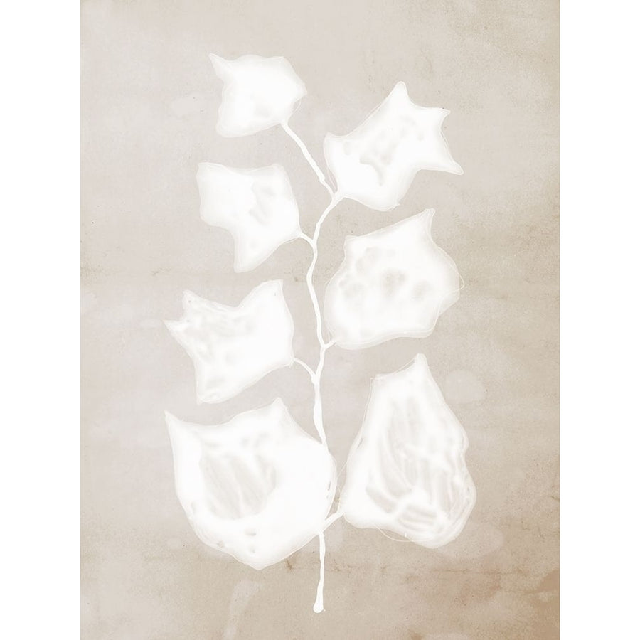 Paper Bark II Poster Print by Urban Road Urban Road UR1038 Image 1