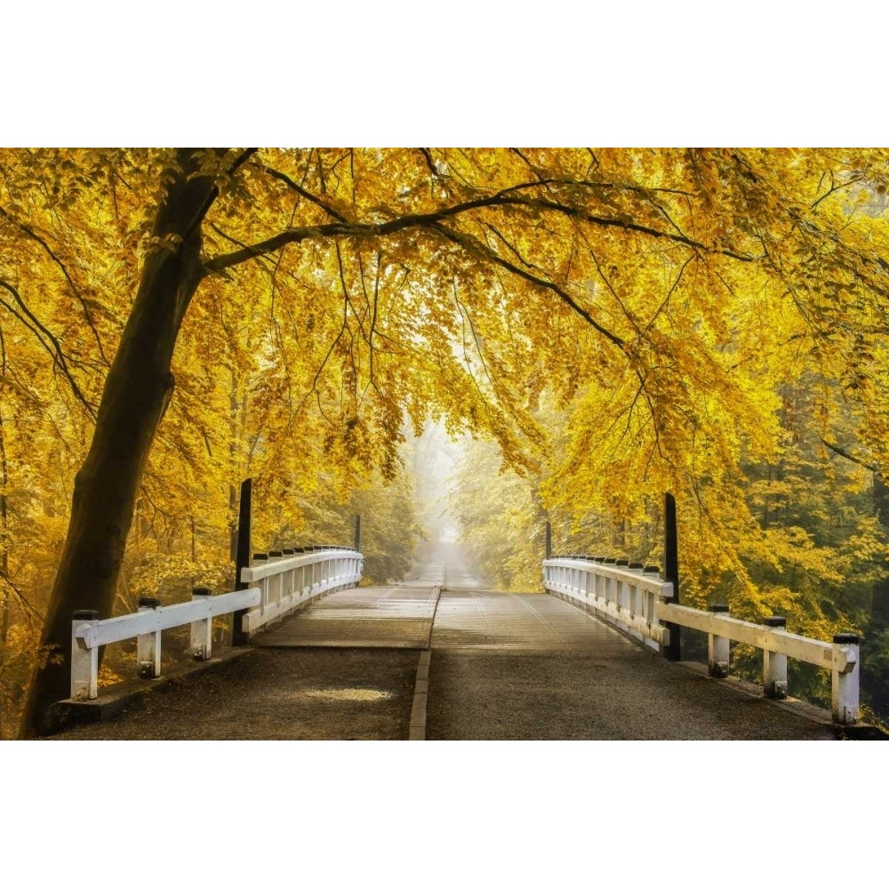 Bridge to Fall III Poster Print by Lars Van de Goor Image 2