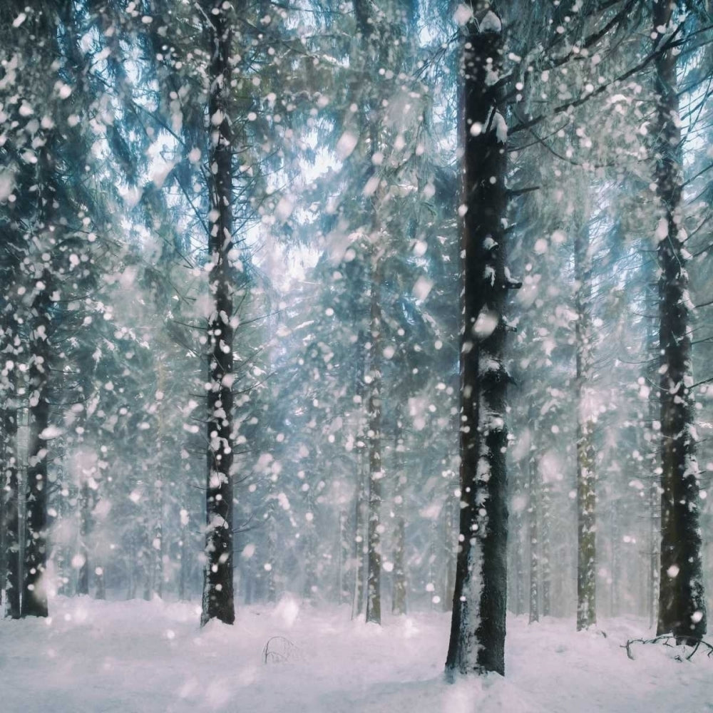 Flakes Poster Print by Lars Van de Goor Image 2