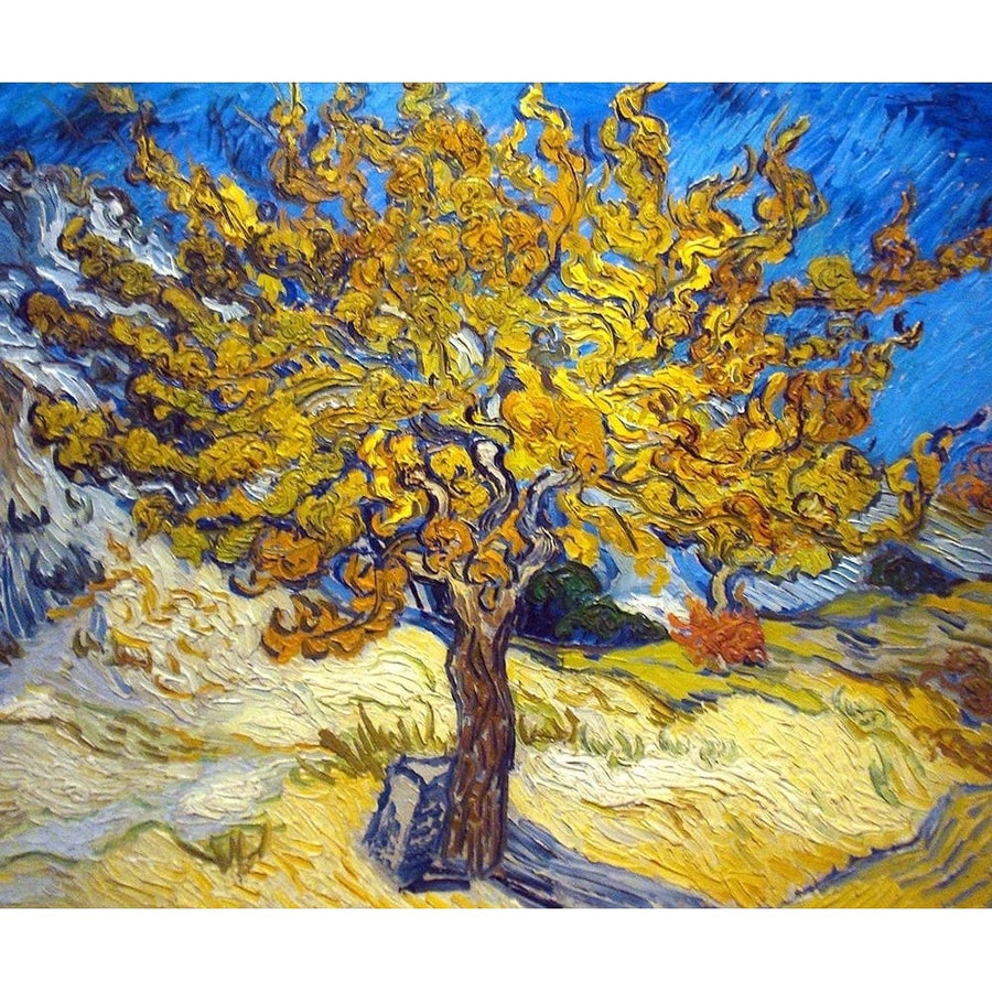 The Mulberry Tree Poster Print by Vincent Van Gogh Image 1