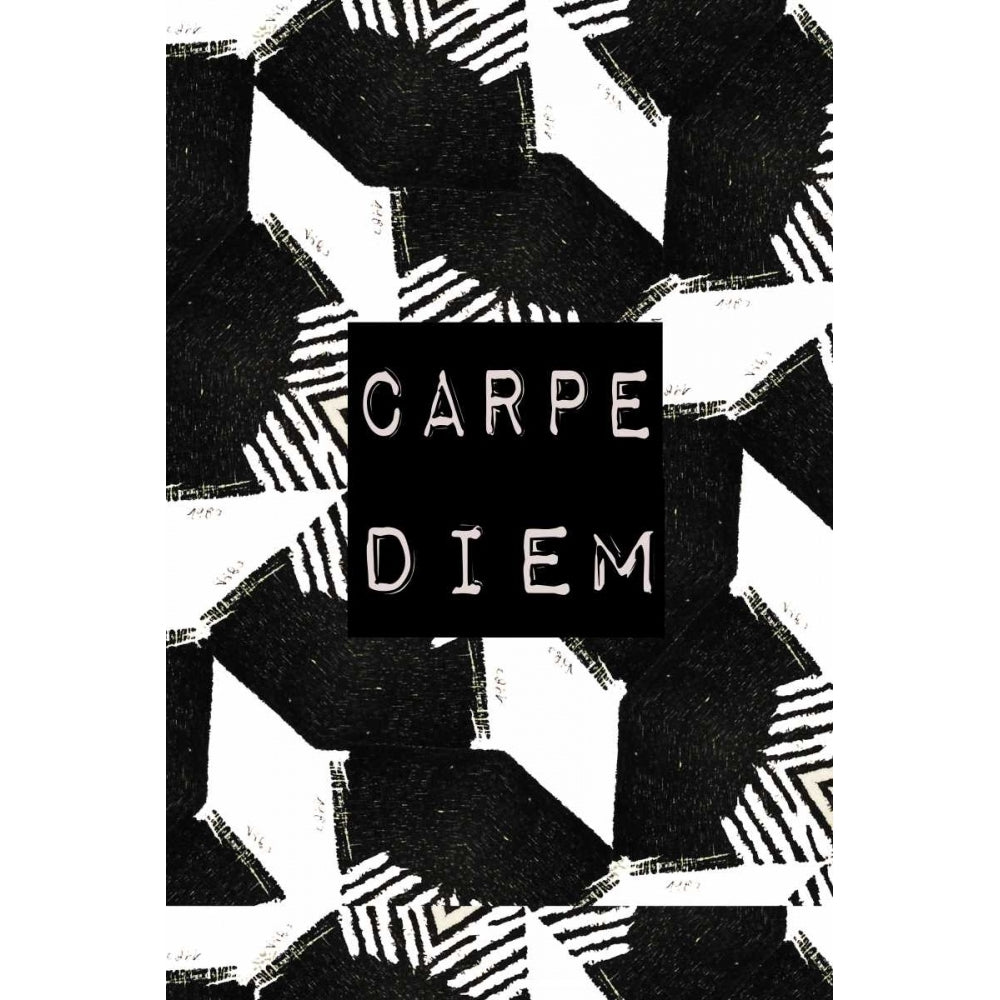 Carpe Diem Poster Print by Anne Waltz Image 2