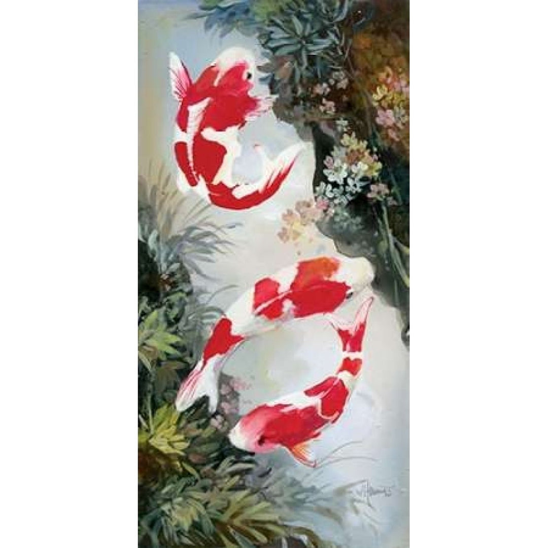 Koi 3 Poster Print by Willem Haenraets Image 1