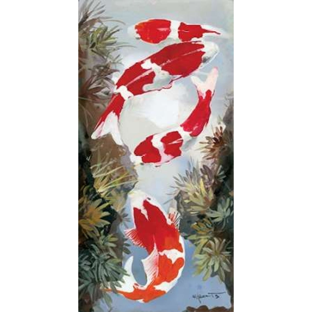 Koi 4 Poster Print by Willem Haenraets Image 2