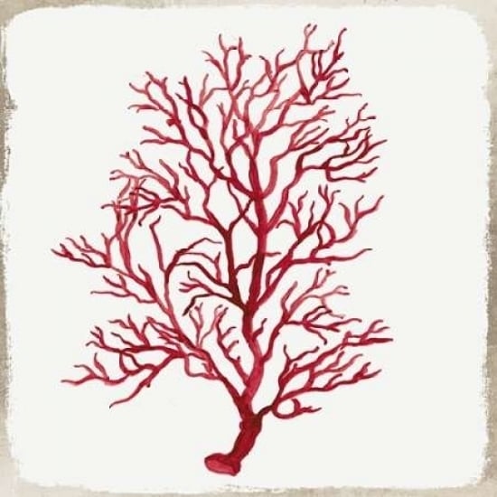 Red Coral III Poster Print by Aimee Wilson - Item PDXWL034ALARGE Image 1