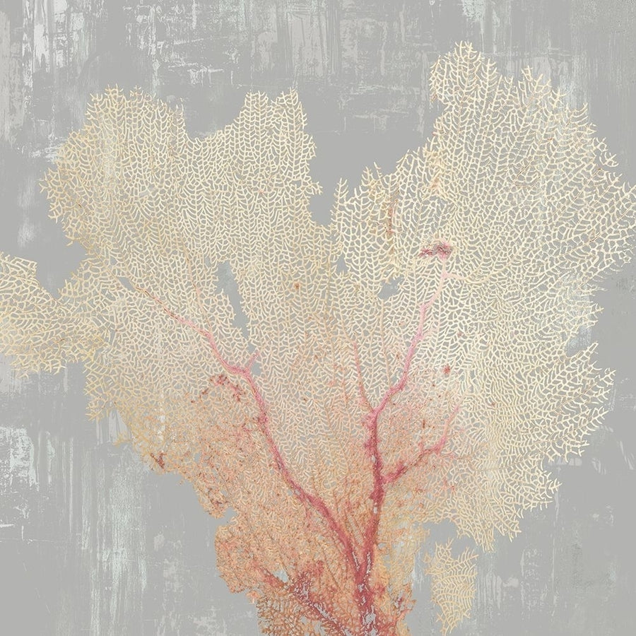 Blush Coral I Poster Print by Aimee Wilson Image 1