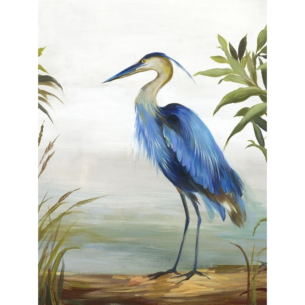 Blue Heron Poster Print by Aimee Wilson Image 1