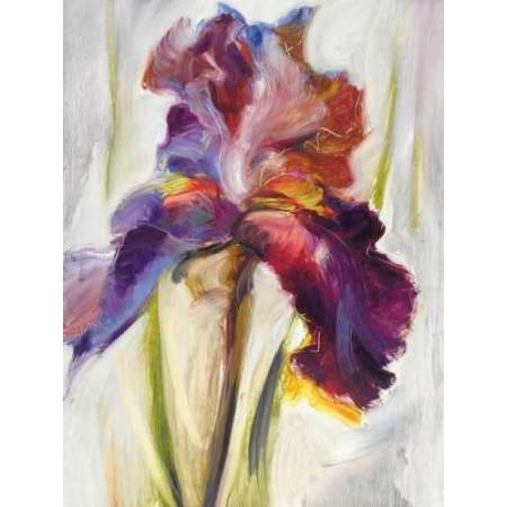 Colors of Iris I Poster Print by Maria Zielinska Image 2