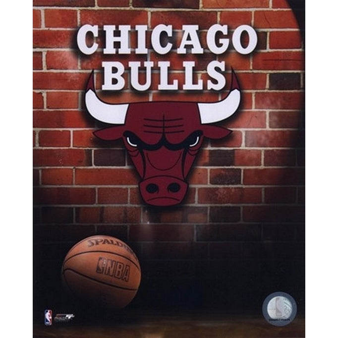 Bulls - 2006 Logo Sports Photo Image 1