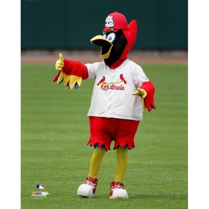 Fredbird the St. Louis Cardinals Mascot Photo Print Image 1