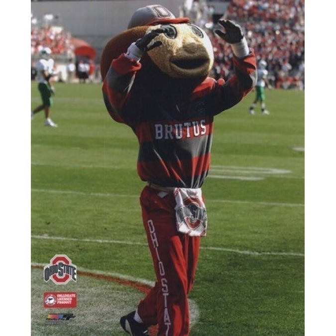 Brutus Buckeye - O.S.U. Mascott Sports Photo Image 1