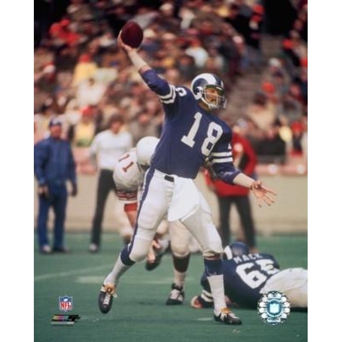 Roman Gabriel Action Photo Print Image 1