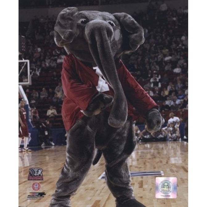 University of Alabama - Crimson Tide Elephant Mascot 2004 Sports Photo Image 1