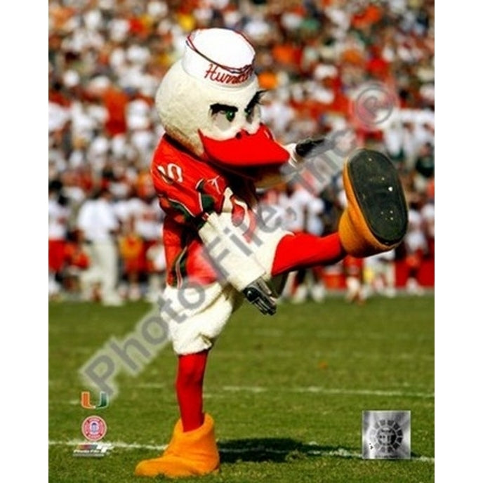 Sebastian -The Mascot of University of Miami Hurricanes 2003 Sports Photo Image 1