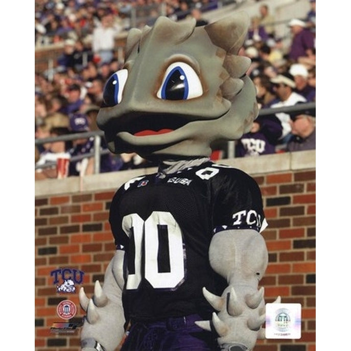 Texas Christian University Horned Frogs Mascot 2003 Sports Photo Image 1