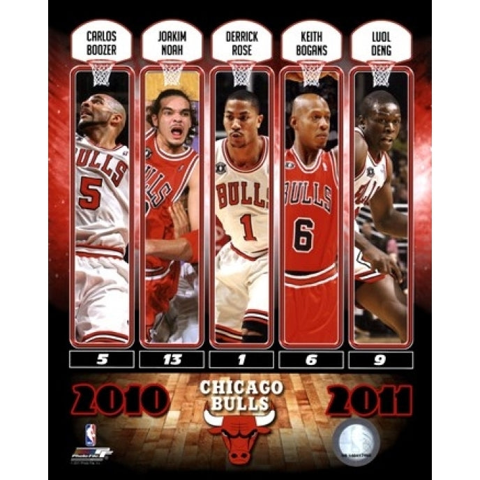 Chicago Bulls Team Comp 2010-11 Sports Photo Image 1