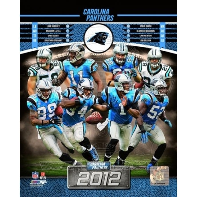 Carolina Panthers 2012 Team Composite Sports Photo Image 1