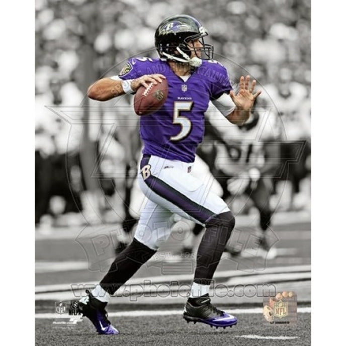 Joe Flacco 2013 Spotlight Action Sports Photo Image 1