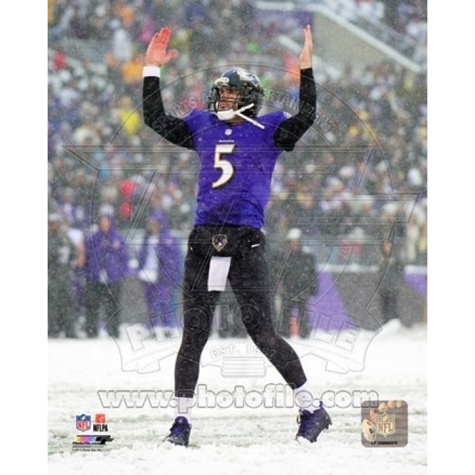 Joe Flacco 2013 Action Sports Photo Image 1