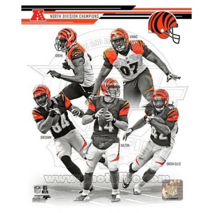 Cincinnati Bengals 2013 AFC North Champions Team Composite Sports Photo Image 1