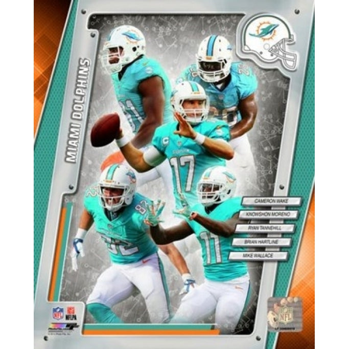 Miami Dolphins 2014 Team Composite Sports Photo Image 1