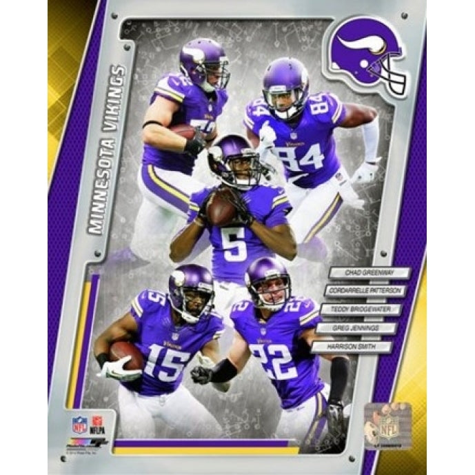 Minnesota Vikings 2014 Team Composite Sports Photo Image 1