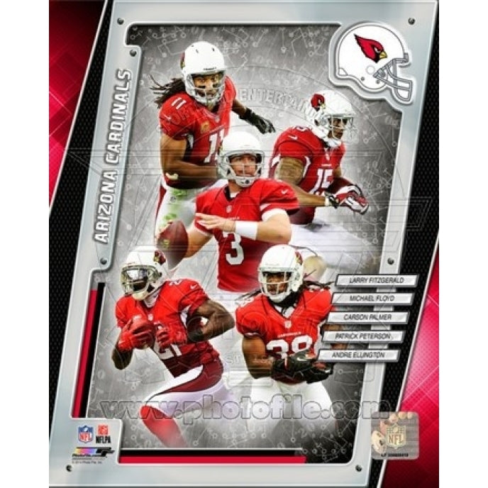 Arizona Cardinals 2014 Team Composite Sports Photo Image 1