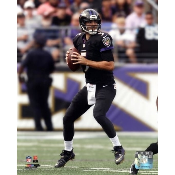 Joe Flacco 2014 Action Sports Photo Image 1