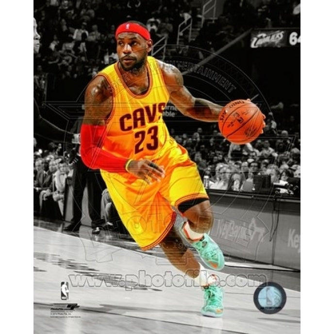 LeBron James 2014-15 Spotlight Action Sports Photo Image 1