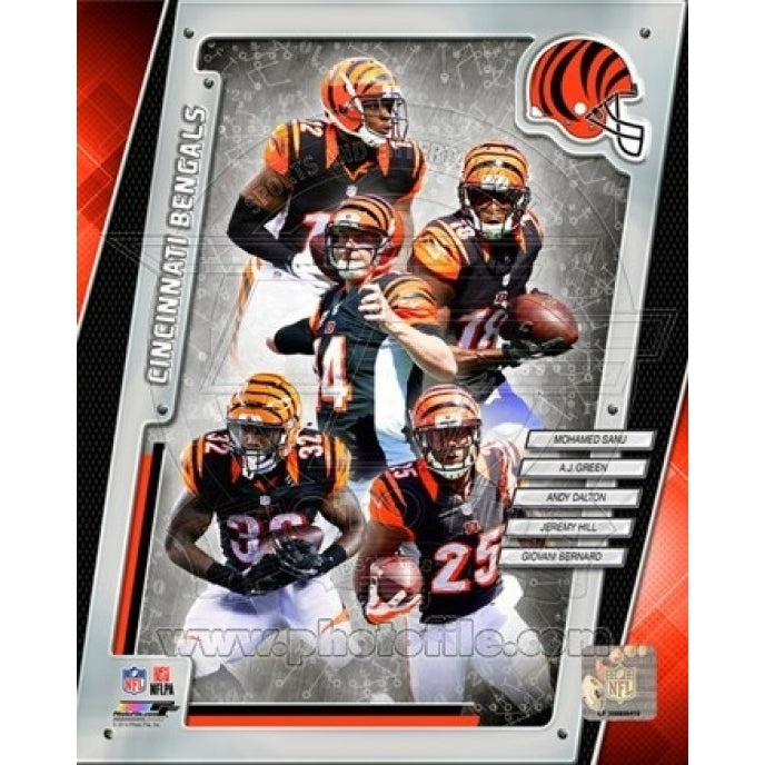 Cincinnati Bengals 2014 Team Composite Sports Photo Image 1