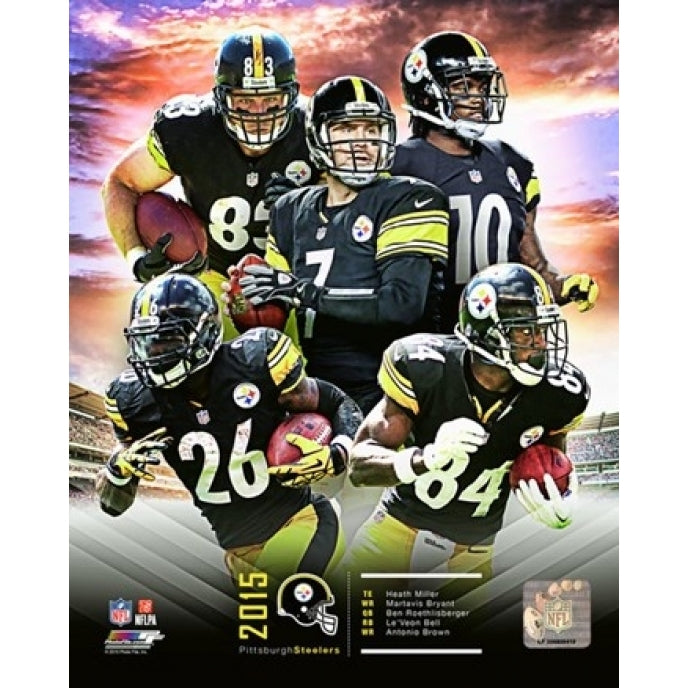 Pittsburgh Steelers 2015 Team Composite Sports Photo Image 1