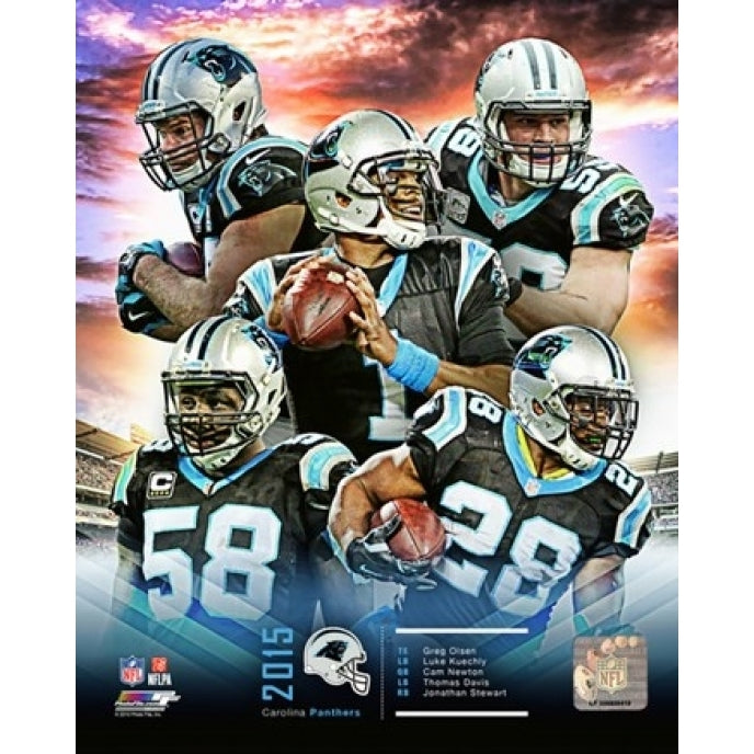 Carolina Panthers 2015 Team Composite Sports Photo Image 1