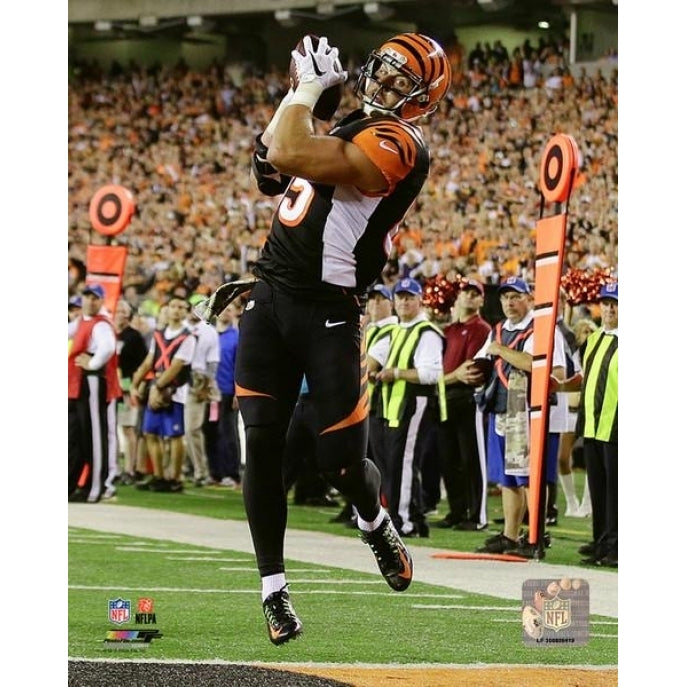 Tyler Eifert 2015 Action Photo Print Image 1