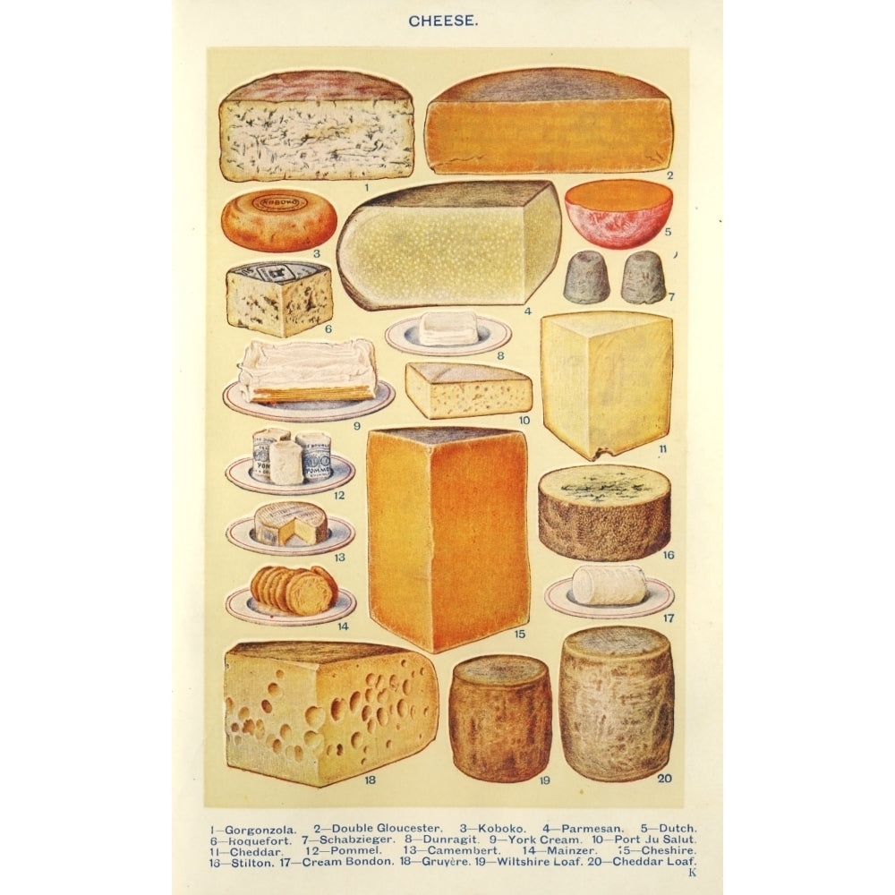 Mrs. Beetons Cookery Book Cheese Poster Print Image 2