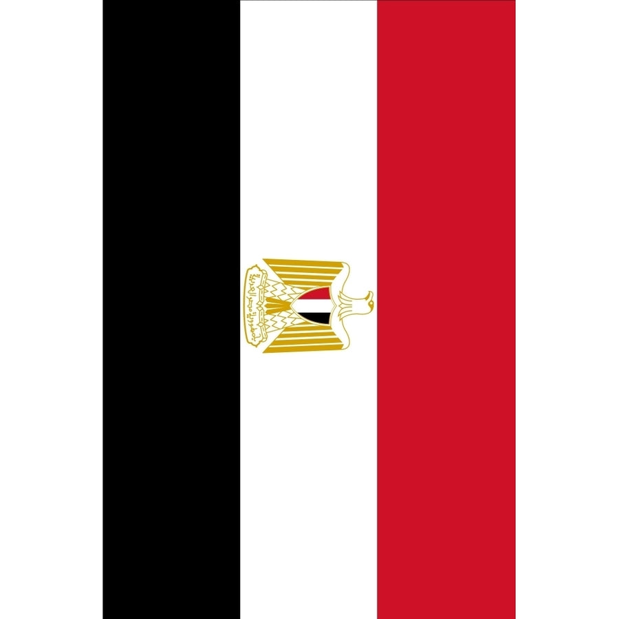 Flag current Egyptian Poster Print Image 1