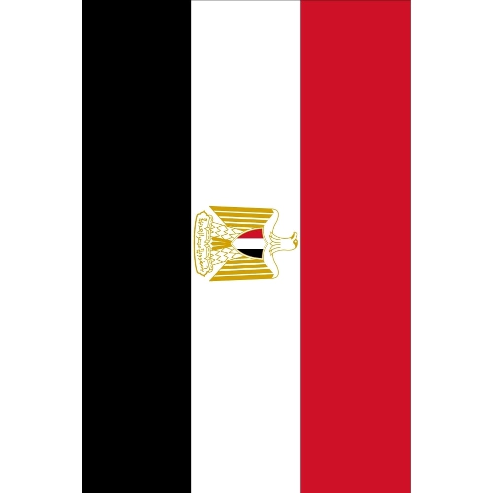 Flag current Egyptian Poster Print Image 1