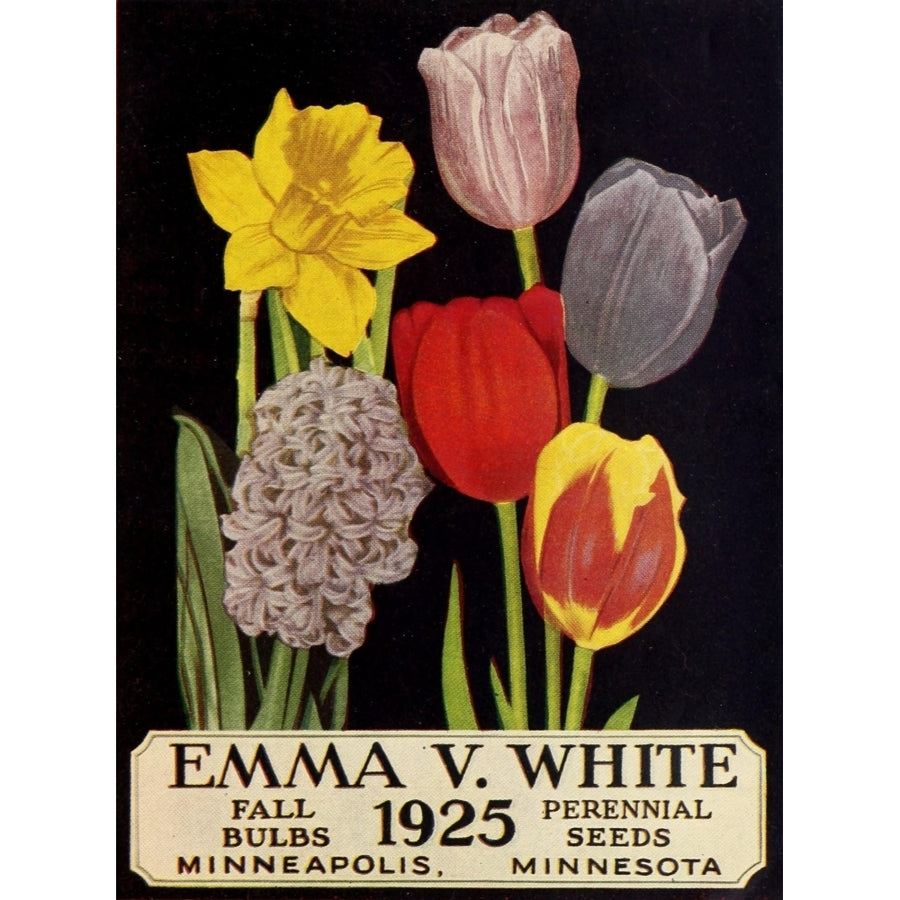 Emma V. White Fall bulbs perennial seeds 1925 Poster Print Image 1