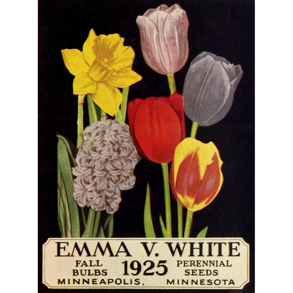 Emma V. White Fall bulbs perennial seeds 1925 Poster Print Image 2