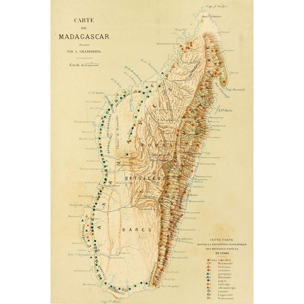 Map The Natural History of Madagascar 1885 Madagascar Poster Print Image 1