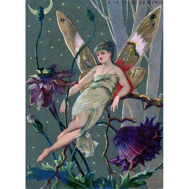 Fairy in undergrowth c.1880 Poster Print by Unknown Image 1