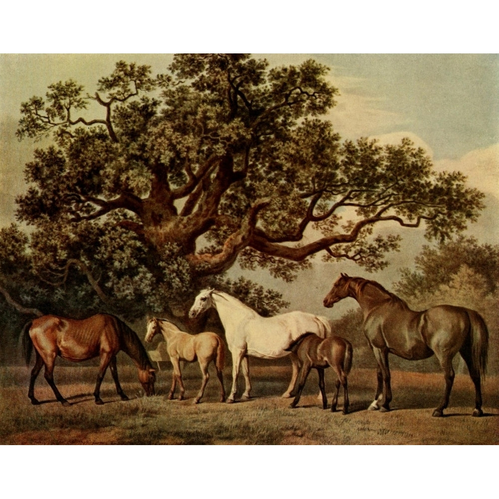 British Sporting Artists 1922 Brood Mares and Foals Poster Print by George Stubbs Image 2