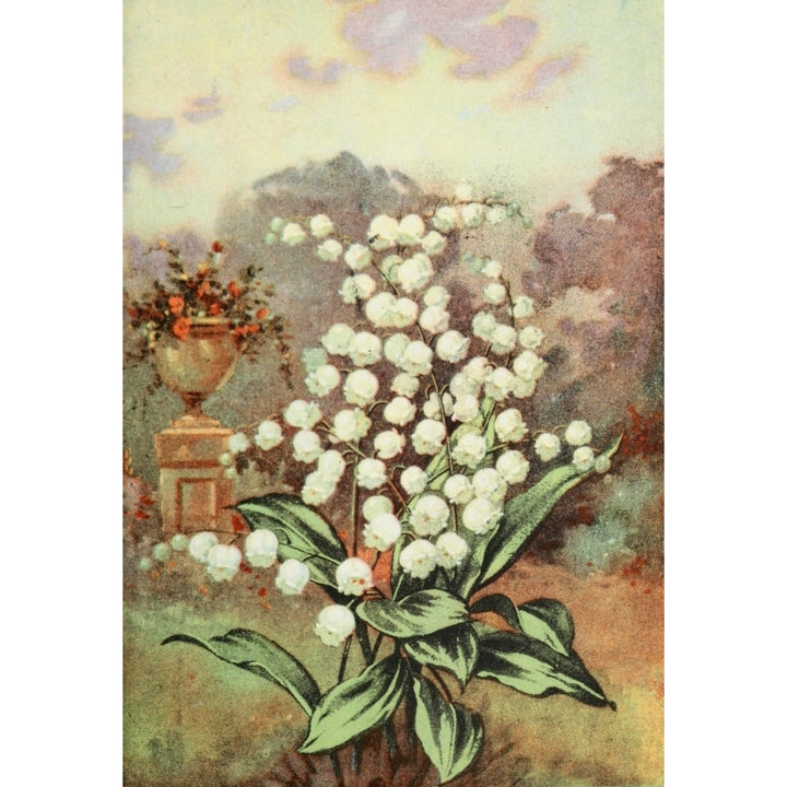 Garden Flowers 1926 Lily of the Valley Poster Print by Myron Van Brunt Image 1