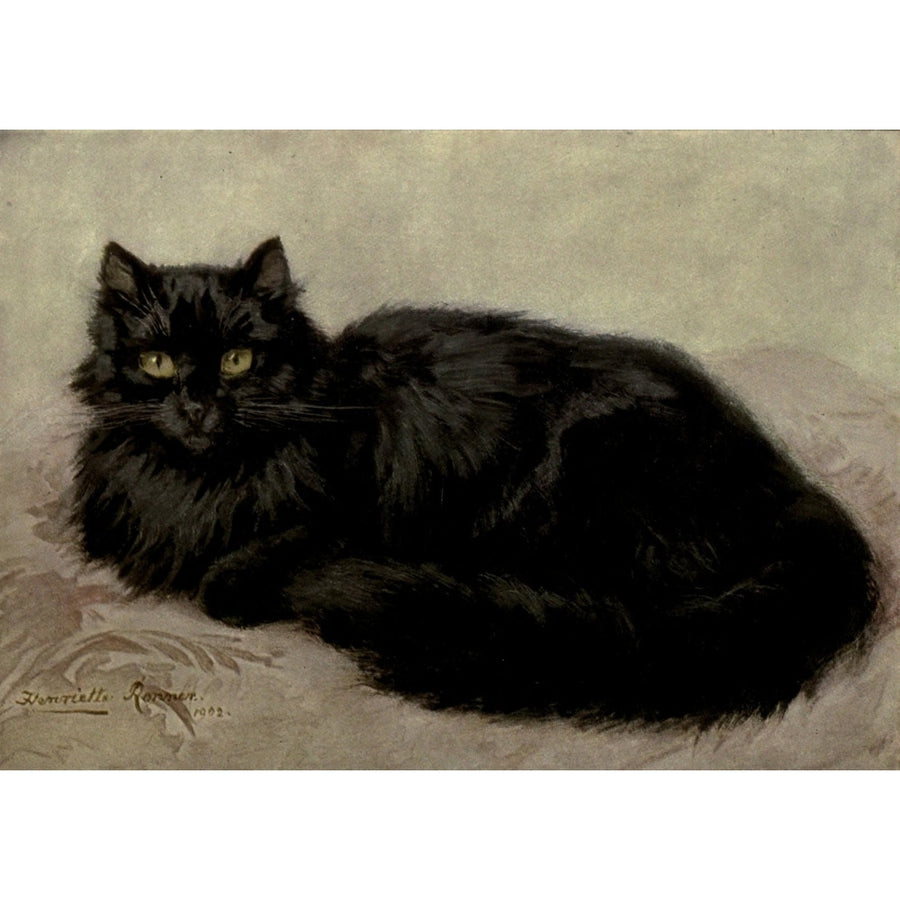 The Book of the Cat 1903 Black cat Poster Print by Henriette Ronner-Knip Image 1